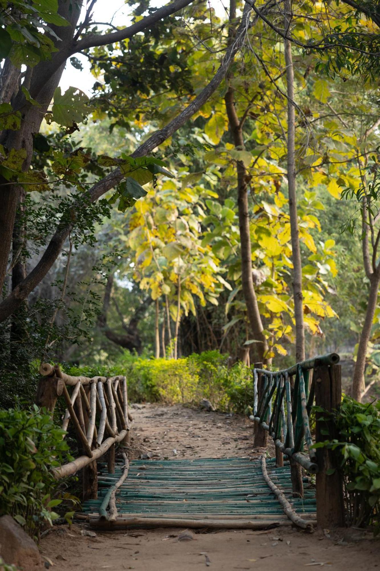 Tiger Trails Resort Tāla Exteriér fotografie